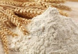 بیش از ۱۰ هزار تن آرد یارانه&zwnj;ای در مناطق روستایی توزیع شد