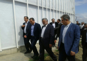 پرداخت تسهیلات ارزان قیمت برای حمایت از تولید گل و گیاه