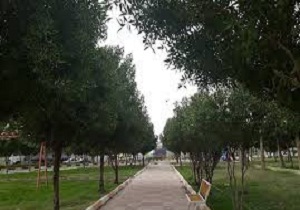 پاکسازی طبیعت حاشیه جاده ی کمربندی کرمانشاه