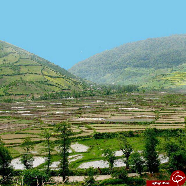 گوشه&zwnj;ای از طبیعت بی&zwnj;نظیر در &laquo;چناربن زارم&raquo; + تصاویر