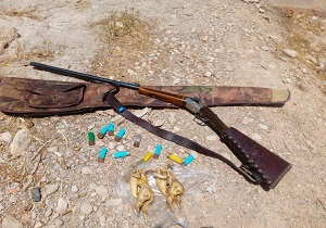 دستگیری شکارچی کبک در شهرستان سرخه