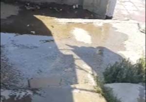 فیلمی از هدررفت آب در پارک آزادگان کمالشهر