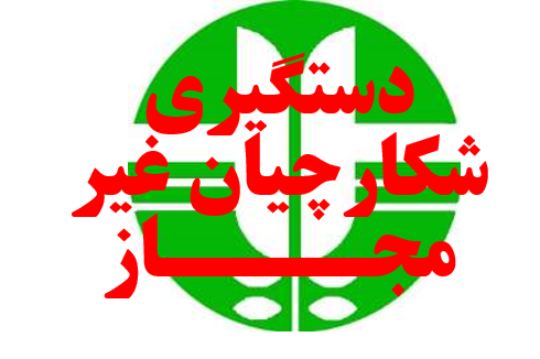 دستگیری شکارچی غیر مجاز آهو در رشتخوار