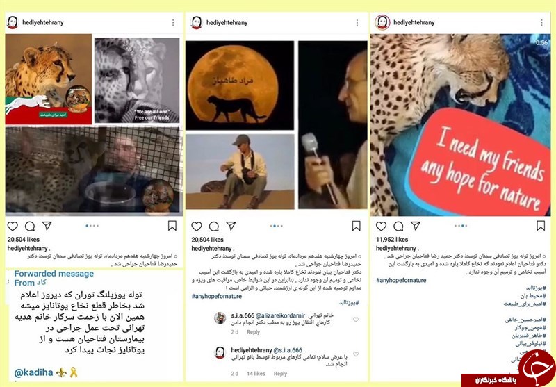 سوء استفاده بازیگر زن از توله یوزپلنگ مصدوم به نفع متهمان جاسوسی+ عکس