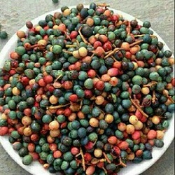 روانسر شهرستان بنه خیز استان کرمانشاه