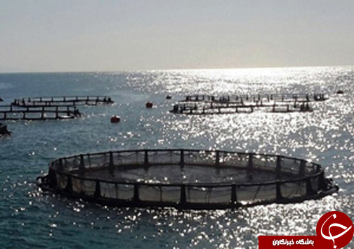 نگاهی گذرا به مهمترین رویداد&zwnj;های یکشنبه ۲۱ مرداد در مازندران