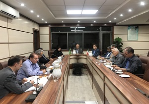 آغاز توزیع مرغ منجمد در قزوین