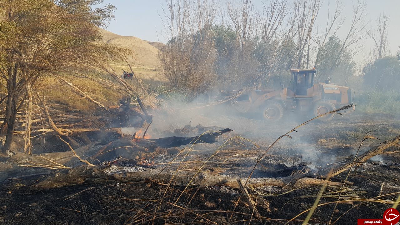 آتش سوزی در باغات انگور شهرستان خنداب