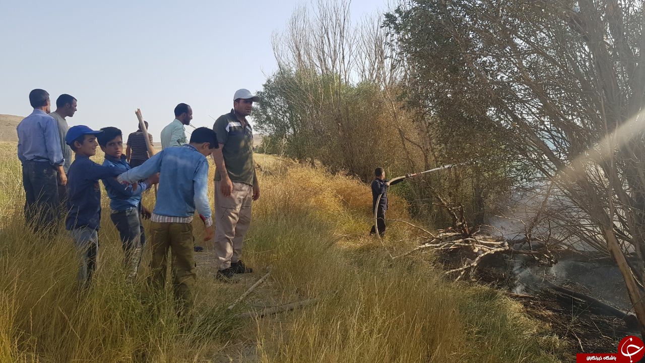 آتش سوزی در باغات انگور شهرستان خنداب