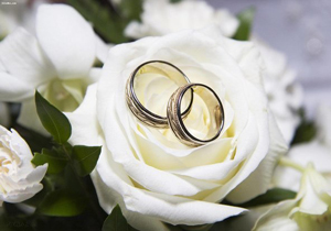 اجرای ۱۵۰ عنوان برنامه در هفته ازدواج