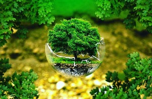 انجام خدمات زیست محیطی جریمه آلایندگان محیط زیست در فومن
