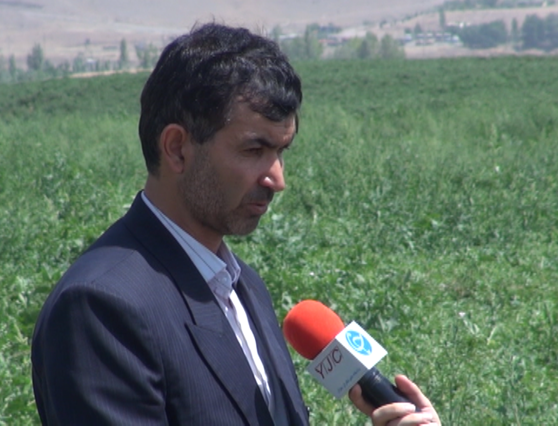 ایران رتبه سوم تولید هندوانه در جهان دارد ایران رتبه سوم تولید هندوانه در جهان دارد