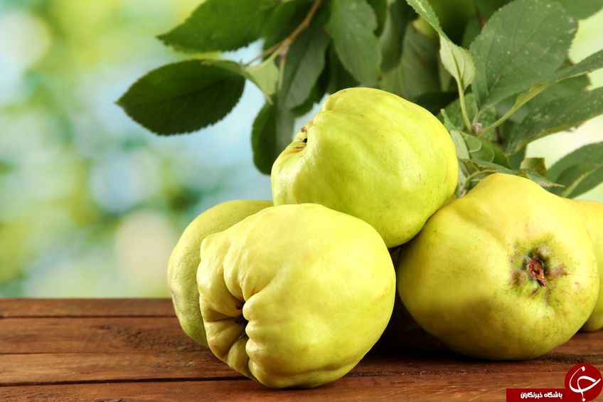 معجزه آسا ترین خواص به برای سلامتی انسان کدامند؟