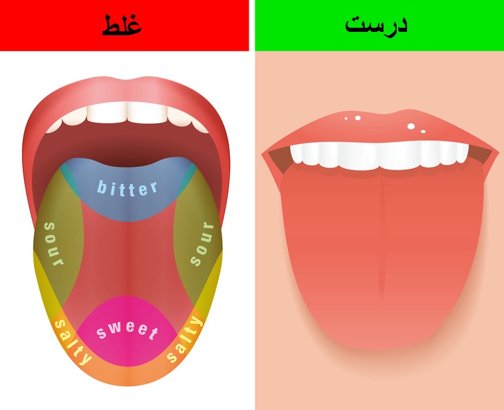 باورهای غلط علمی که انسان&zwnj;های زیادی به آن اعتقاد دارند
