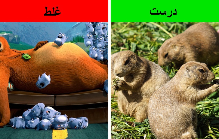 باورهای غلط علمی که انسان&zwnj;های زیادی به آن اعتقاد دارند