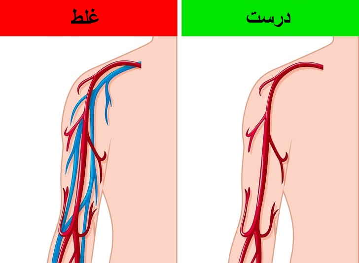 باورهای غلط علمی که انسان&zwnj;های زیادی به آن اعتقاد دارند