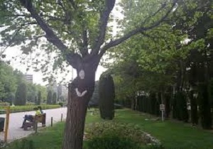 توزیع عادلانه امکانات و خدمات برای شهروندان