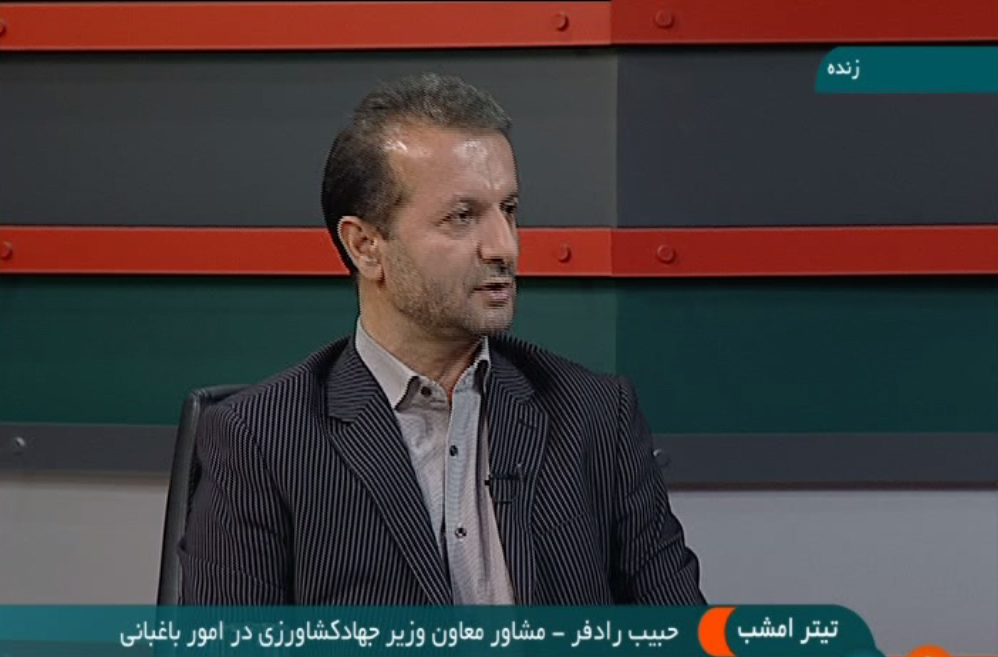 چوب دلالی بر سر بازار میوه