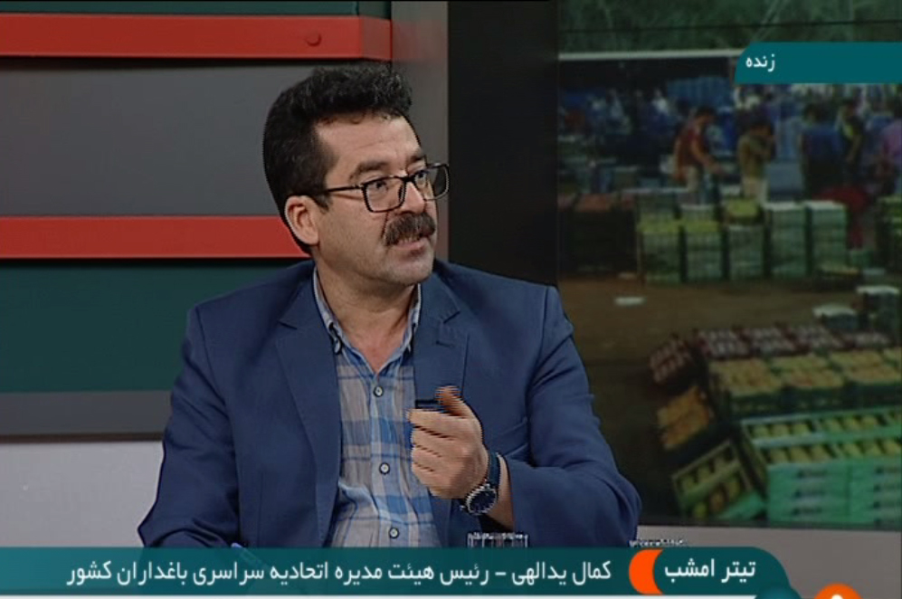 چوب دلالی بر سر بازار میوه