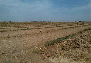 تأمین آب ۴ هکتار از اراضی کشاورزی روستای علی هدیه علیا سربیشه