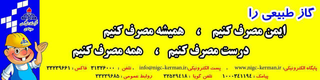 در گازرسانی از سرانه کشور عقب هستیم / دودکش نامناسب عامل بیش از 85 درصد مرگ و میر واحد های خانگی