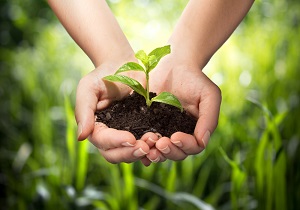 توسعه زیست‌فناوری در راستای سیاست ملی كوچک سازی بدنه دولت است