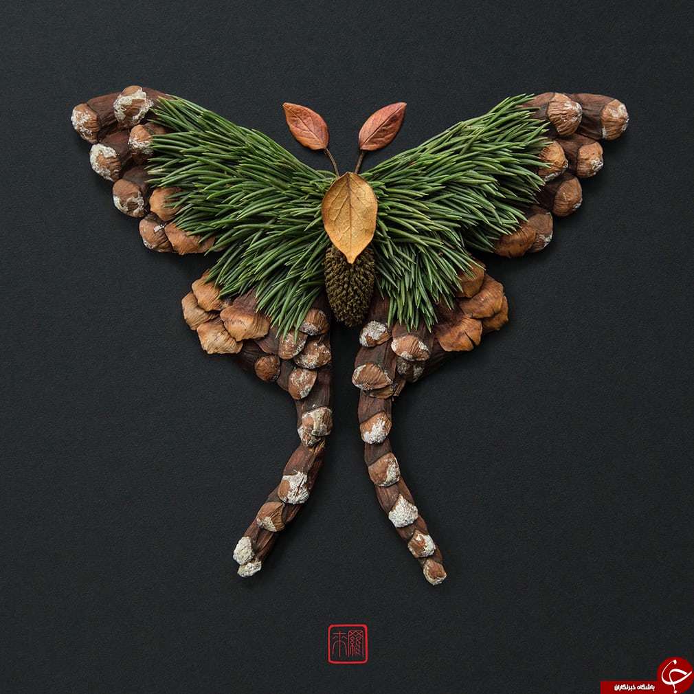 حشراتی که از جنس گیاه هستند
