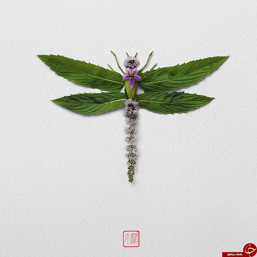 حشراتی که از جنس گیاه هستند