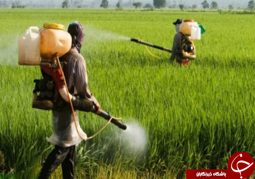 نگاهی گذرا به مهمترین رویدادهایسه شنبه 23 مرداد ماه در مازندران