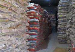 کشف پارکینگ خودروی خارجی احتکار شده + فیلم