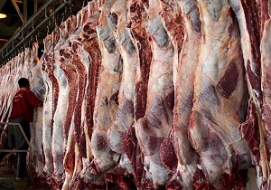 واردات گوشت قرمز راهی برای جلوگیری از افزایش قیمت/تکذیب اختلال در بازار دام زنده در خوزستان