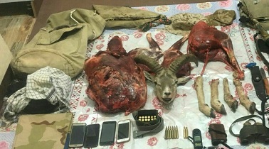 متخلفان شکار و صید در کاشان به دام قانون افتادند
