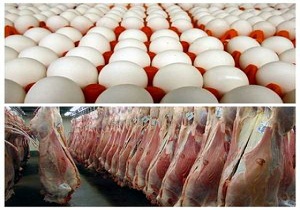 آغاز توزیع گوشت مرغ و تخم مرغ کمتر از قیمت بازار در سمنان