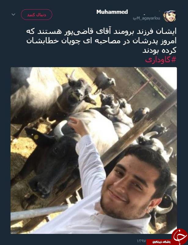 قاضی پور: خبر گاوداری پسرم صحت ندارد و دروغ است/ باور کنید، پسرم چوپان است