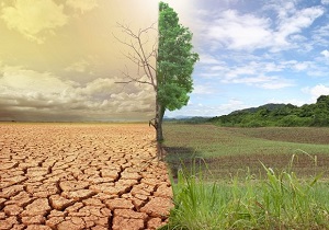 به صدا در آمدن زنگ خطر خشکسالی در شمال کشور/  آیا استان گلستان بیابان می شود؟ + فیلم