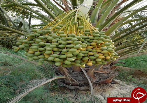 از چهاردیواری بلوکی تا کارخانه ۳ هزار متری