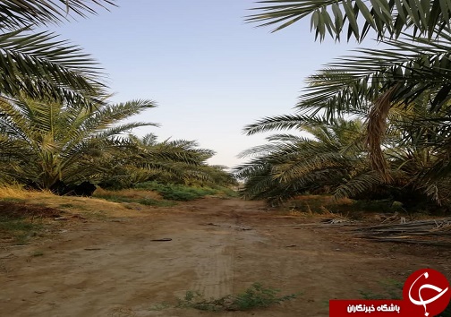 از چهاردیواری بلوکی تا کارخانه ۳ هزار متری
