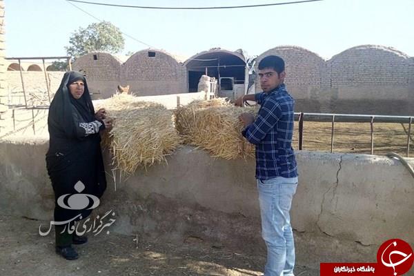 زنی که از دغدغه خوردن یک وعده نان به دامداری ۵ هزار متری رسید!