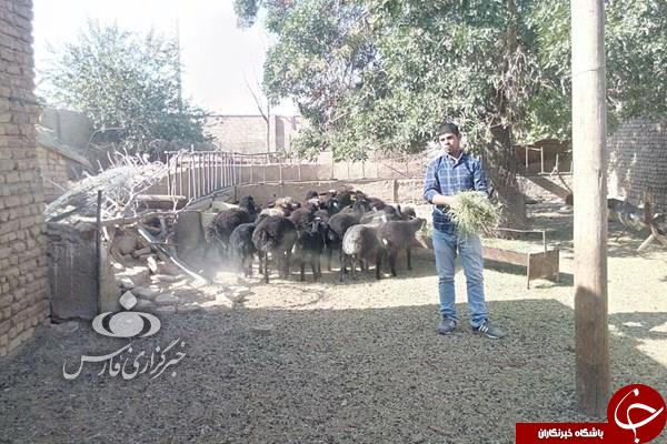 زنی که از دغدغه خوردن یک وعده نان به دامداری ۵ هزار متری رسید!