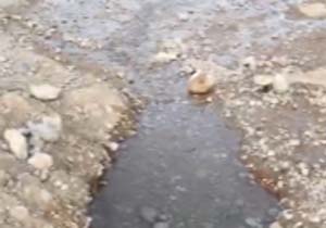 فیلمی از هدررفت آب در روستای شهرک مطهری