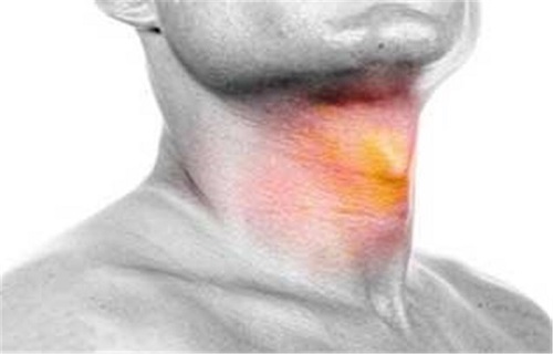 مشکلات کبدی را چگونه تشخیص دهیم؟/اگر این وعده را حذف کنید دچار ریزش مو می&zwnj;شوید/ماد&zwnj;ای دم دستی که مانند سم عمل می&zwnj;کند/اگر حالت تهوع دارید گوش به زنگ باشید