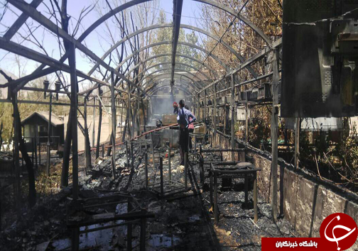 آتش بیخ گوش هتل چمران