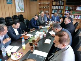 ثبت مالکیت فکری و معنوی، زیتون گیلان در مقیاس جهانی