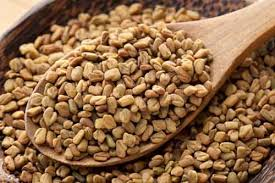 کاشت دانه روغنی سویا در دهلران