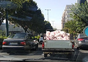 حمل گوشت مرغ با وانت! + فیلم