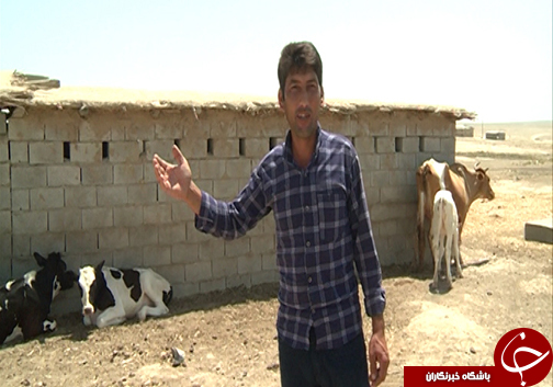 افزایش ۱۰۰ درصدی روز&zwnj;های توام با گرد و غبار // آیا گلستان، گلستان خواهد ماند؟