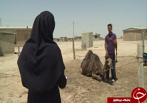 افزایش ۱۰۰ درصدی روز&zwnj;های توام با گرد و غبار // آیا گلستان، گلستان خواهد ماند؟
