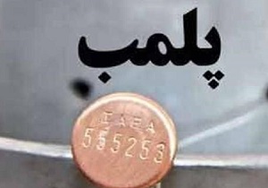 ۹ واحد صنفی متخلف در دلفان پلمب شد