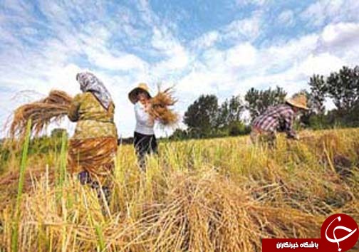 نگاهی گذرا به مهمترین رویداد&zwnj;های یکشنبه ۲۸ مرداد در مازندران