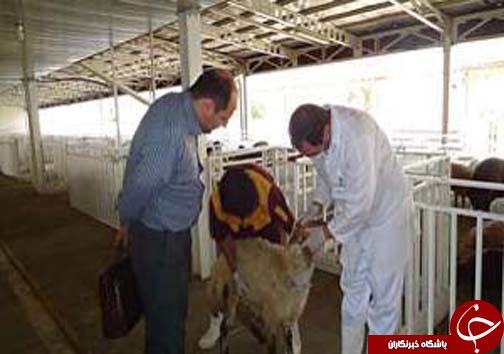 نگاهی گذرا به مهمترین رویداد&zwnj;های یکشنبه ۲۸ مرداد در مازندران